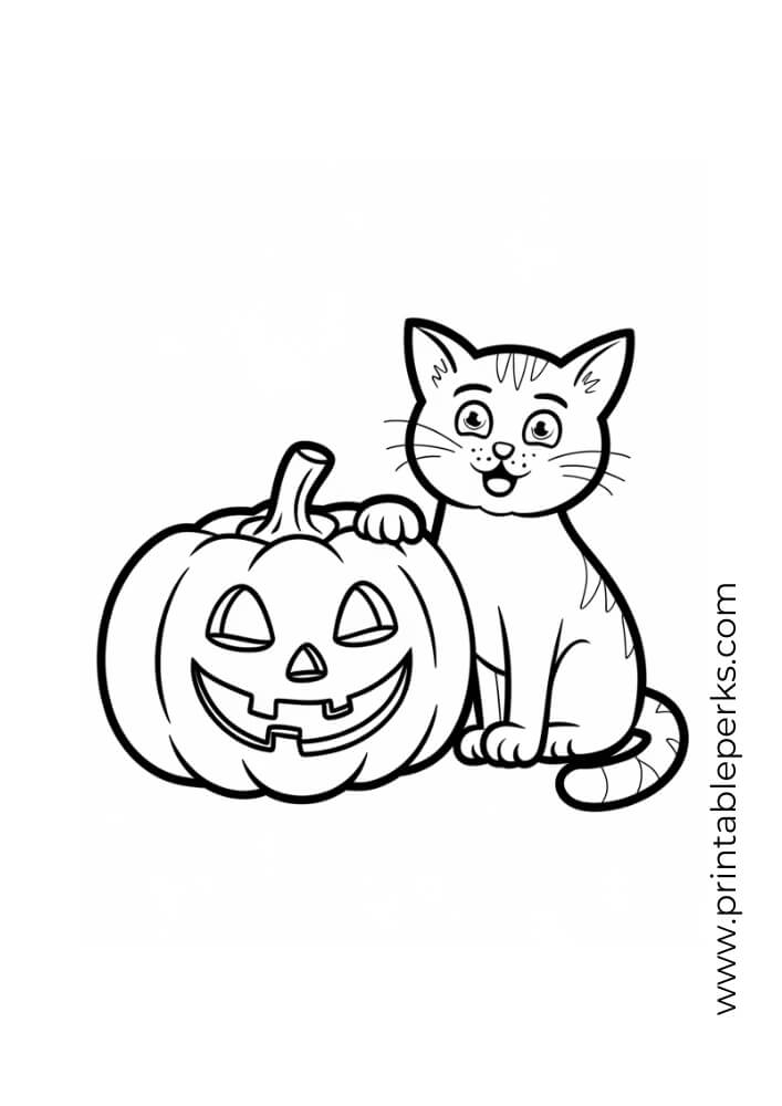 Halloween Pumpkin and Black Cat