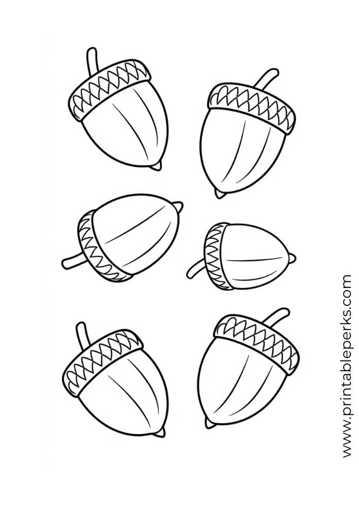 acorn coloring page