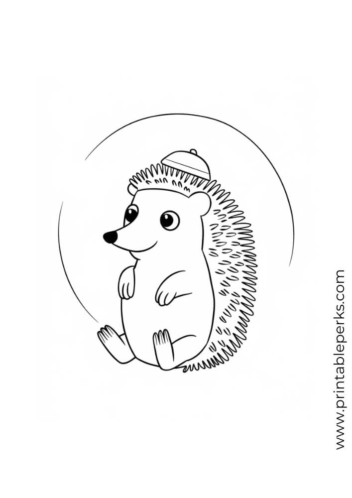 hedgehog coloring page