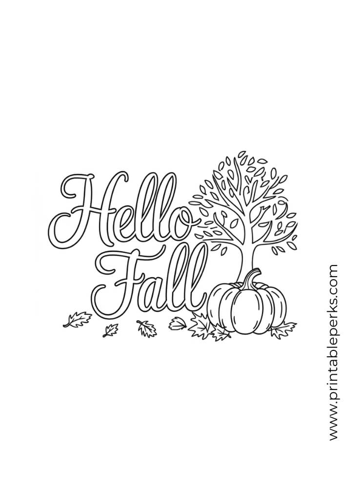 hello fall 2