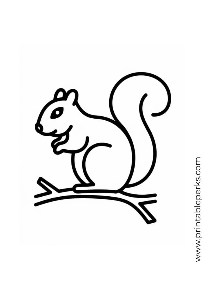 squirrel coloring page