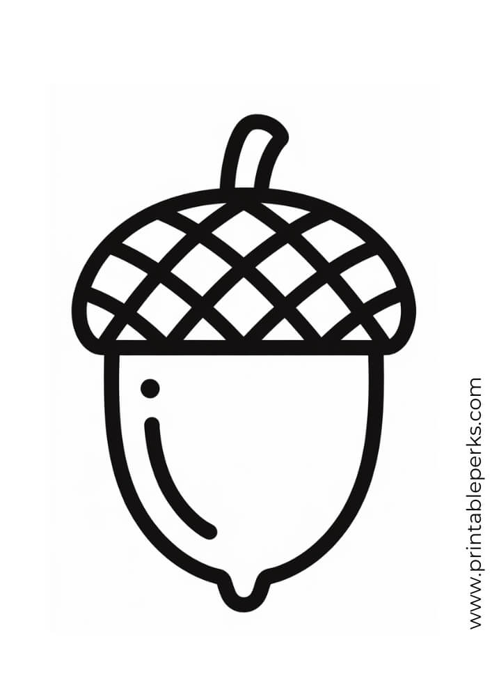 Acorn fall coloring page