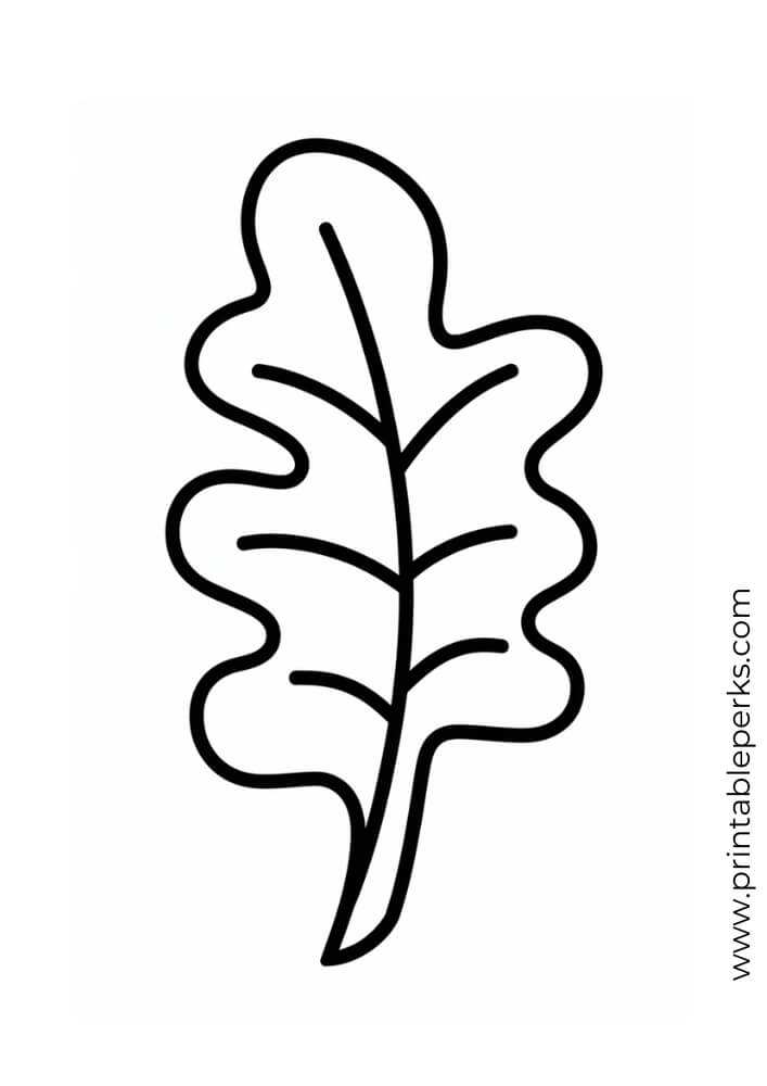 Basic leaf shape coloring page