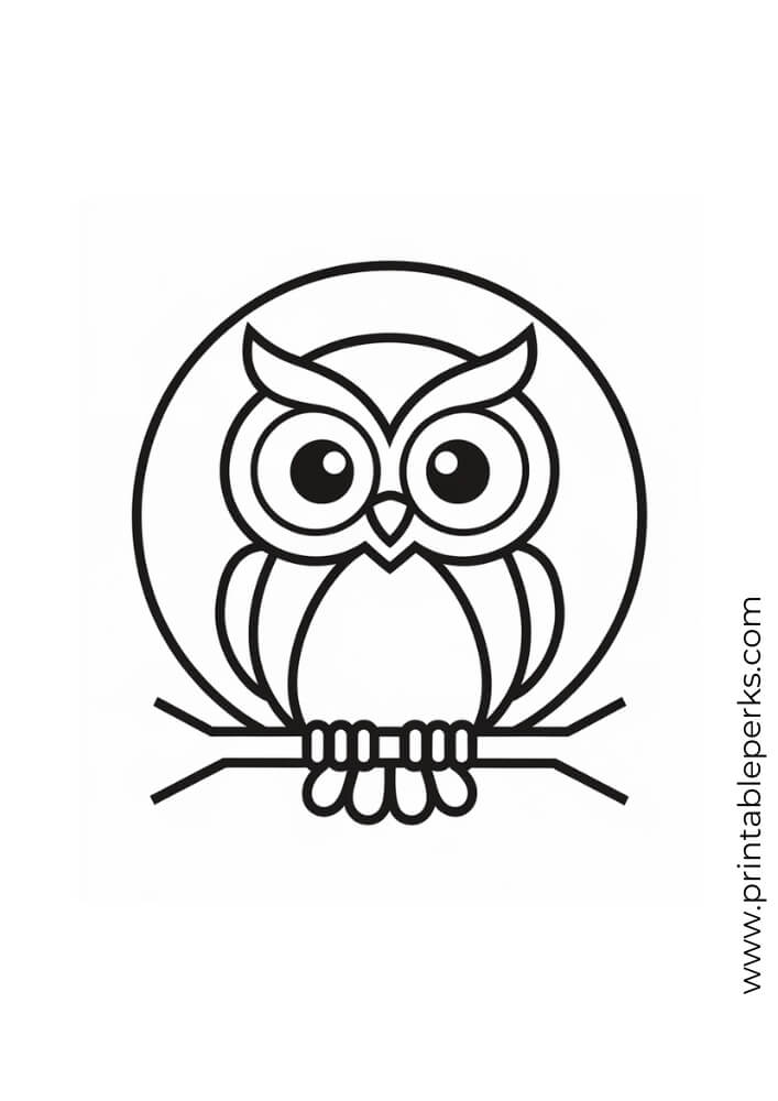 owl fall coloring page