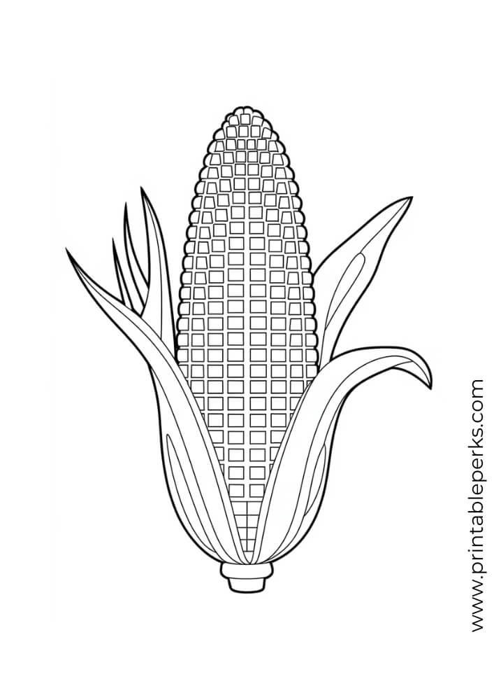 corn fall coloring page