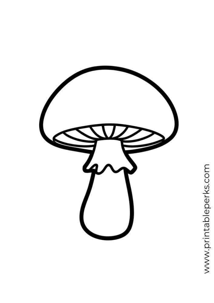 mushroom fall coloring page