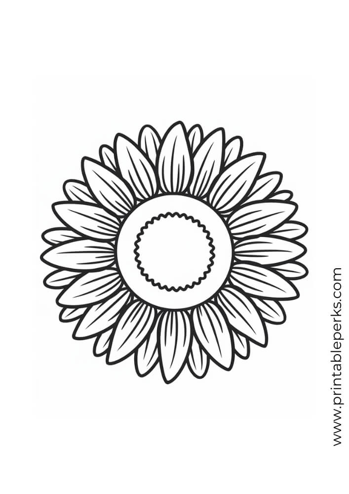 sunflower fall coloring page